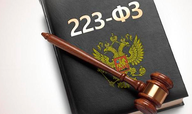 Организация закупок товаров, работ, услуг отдельными видами юридических лиц в соответствии с законом 223-ФЗ